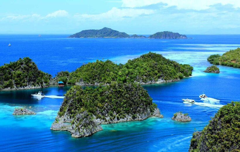 Indonésie - Sulawesi - 07/2026