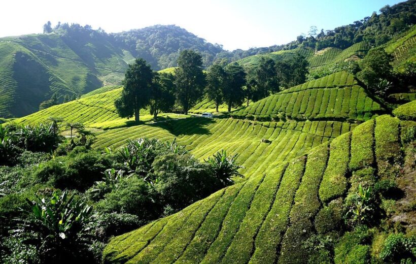 Jižní Indie - 11/2026